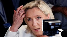 Krajn pravicové Národní sdruení Marine Le Penové vyhrálo volby do Evropského...