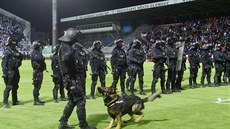 Policejní těžkooděnci na trávníku olomouckého stadionu po finále fotbalového...