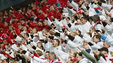 Fanouci Slavie bhem pohárového finále v Olomouci proti Ostrav.