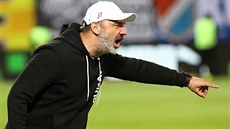 Slávistický trenér Jindřich Trpišovský během finále poháru proti Baníku Ostrava.