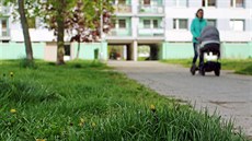 ilustra�ní snímek