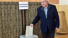 Předseda KSČM Vojtěch Filip odevzdal svůj hlas ve volbách do Evropského...