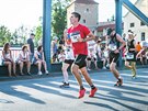 Budjovick plmaraton (2017)