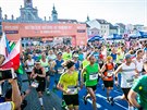 Budjovick plmaraton (2017)