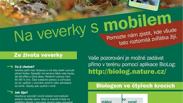 Propagan letek pro mapovn vskytu veverky obecn