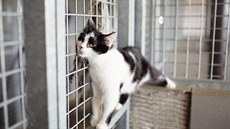 Ilustra�ní snímek