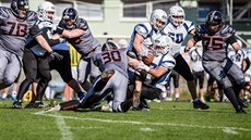 Momentka ze zápasu Vysoina Gladiators - Ostrava Steelers