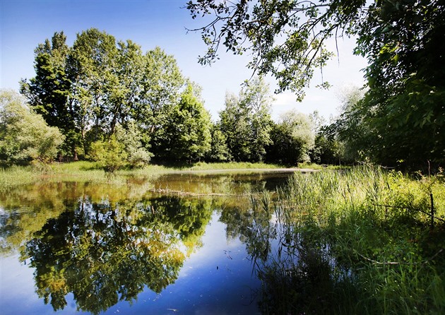 Soutok je líhní orlů a komárů i bodem sváru politiků. Rozhodne Ústavní soud