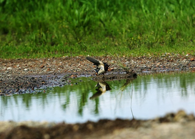 Boj za unikátní lužní les bioložka slíbila manželovu dědovi, inspiroval ji i papež