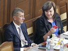 Premiér a pedseda ANO Andrej Babi pi rozhovoru s ministryní financí Alenou...