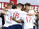 Anglití fotbalisté oslavují gól proti Nizozemsku.