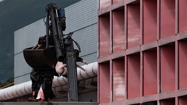 Veterin��i p�ev�� v Hongkongu mrtv� prasata, kter� musela b�t pora�ena v souvislosti s vypuknut�m africk�ho moru prasat. (2. �ervna 2019)