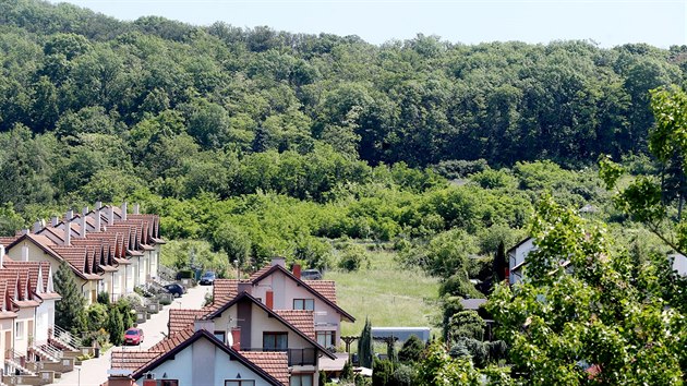 V brnnsk lokalit ve svahu pod Palackho vrchem a Koz horou bvala zahrdksk kolonie. Nyn tam nejsp vyrostou rodinn domy podnikatel a politik, kte si koupili pozemky a zadili zmnu zemnho plnu.