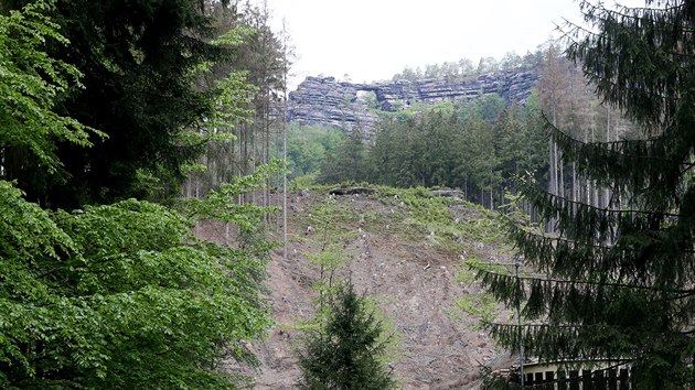 Vykácený kus lesa otevřel výhled na Pravčickou bránu i od silnice z Hřenska na Mezní Louku. Zarůst má za 10 až 15 let. (21. května 2019)
