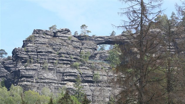 Vykácený kus lesa otevřel výhled na Pravčickou bránu i od silnice z Hřenska na Mezní Louku. Zarůst má za 10 až 15 let. (21. května 2019)