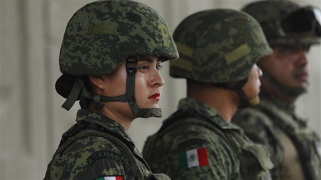 Vojci mexick armdy u hranic s Guatemalou. (4. ervna 2019)
