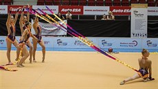 Moderní gymnastiky oddílu TopGym Karlovy Vary pedvádjí sestavu.