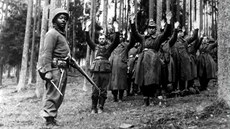 Americký voják se skupinou zajatých nacist (duben 1945)