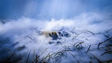 Úchvatné pohledy na na�e hory, podmo�ské hlubiny i mikrosv�t drobných �ivo�ich�...