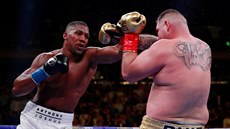 Anthony Joshua a Andy Ruiz v souboji o tituly profesionálního mistra svta v...