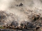 STÁDO. Pastevci nahánji stáda krav, ovcí a koz na letní pastviny v Ujgurské...