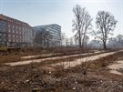 Takto vypadá stodesetihektarový brownfield BubnyZátory dnes.