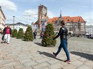 Na budov olomoucké radnice na Horním námstí probíhají nyní rozsáhlé opravy, v...