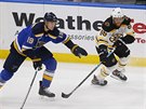 Jay Bouwmeester (19) ze St. Louis nahání bostonského Davida Pastráka (88).