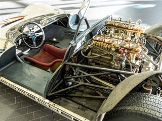 Porsche 910/8 Bergspyder