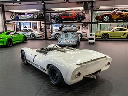 Porsche 910/8 Bergspyder