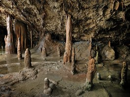 Škocjanské jeskyně jsou nejdůležitějším podzemním úkazem ve slovinském Krasu a...