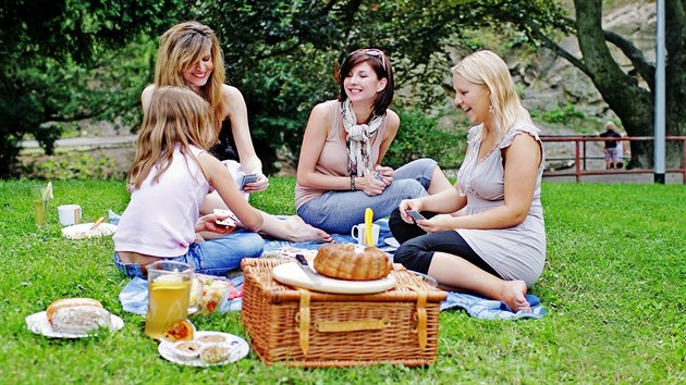 Do piknikového koíku pibalte nesmrtelné pexeso nebo karty, jen dejte pozor,...