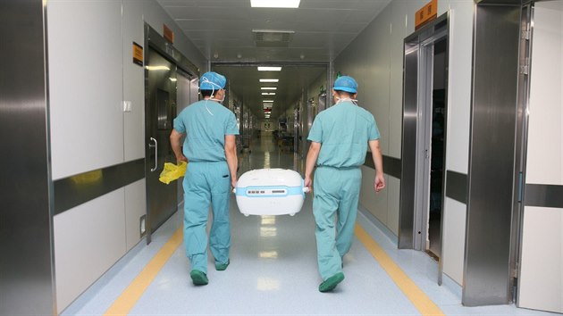 Čínští zdravotníci přenášejí ve speciální nádobě orgány určené k transplantaci (22. srpna 2018).