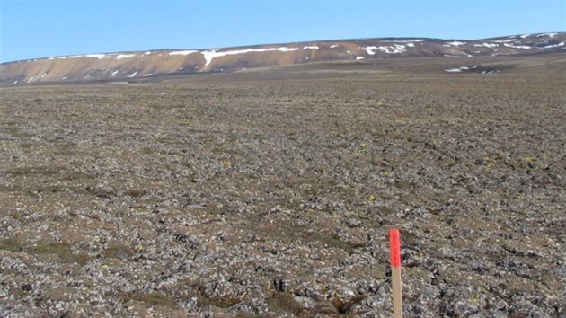 Pohled na částečně rozmrzlý arktický permafrost poblíž kanadského zálivu Mold Bay. Snímek pořídila skupina vědců z aljašské univerzity ve Fairbanks při expedici v roce 2016.