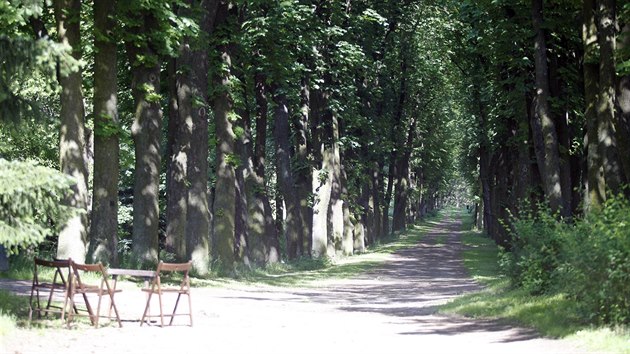 Zmeck park v Chotboi. V jeho sti momentln probh vstava vnovan stromm.