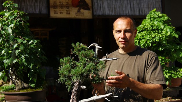 Petr Havelka pěstuje v Kněževsi různé druhy bonsají. Některé původně rostly volně v přírodě.