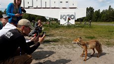 Do ernobylu se hrnou davy turist, kteí chtjí na míst poídit co nejlepí...