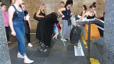 Mladá �ebra�ka se na I. P. Pavlova vydává za sta�enu.