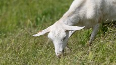 �Ur�it� to zvládne ka�dý, kdo ekozem�d�lství bere jako poslání nebo �ivotní...