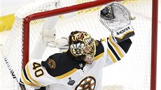 Bostonský gólman Tuukka Rask zasahuje.