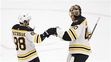 David Pastr�ák a Tuukka Rask oslavují výhru Bostonu.