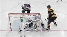 David Pastrák (88) z Bostonu sleduje puk v sedmém finále Stanley Cupu proti...