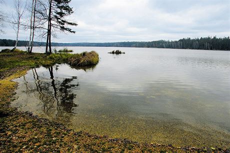 Stakovský rybník patí k oblíbeným cílm rybá z celé republiky.
