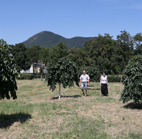 V nové ásti lovosického lesoparku Osmika, kde v loském roce msto nechalo...