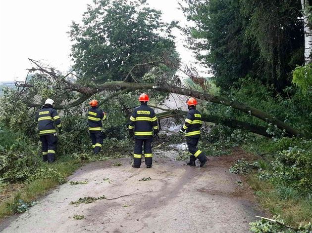 Více jak tyicetkrát vyjídli jihomoravtí hasii bhem tvrtka odstraovat...