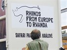 Transport nosoroc ze Dvora Krlov nad Labem do Rwandy (23. 6. 2019).
