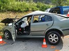 �idi� �kody Octavia nezvl�dl na Prachaticku ��zen� a po smyku se st�el s...