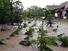 Silné bouky potrápily esko. Na Olomoucku zatopily sklepy a vyvracely stromy....