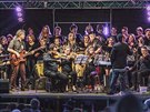 Festival Útk 2019, Koncert Baa goes Symfonics