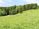 Na Vslun se horal ivili chovem dobytka u ped stovkami let.